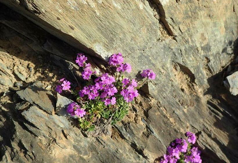 پانسیون Gîte Soum De L Ase