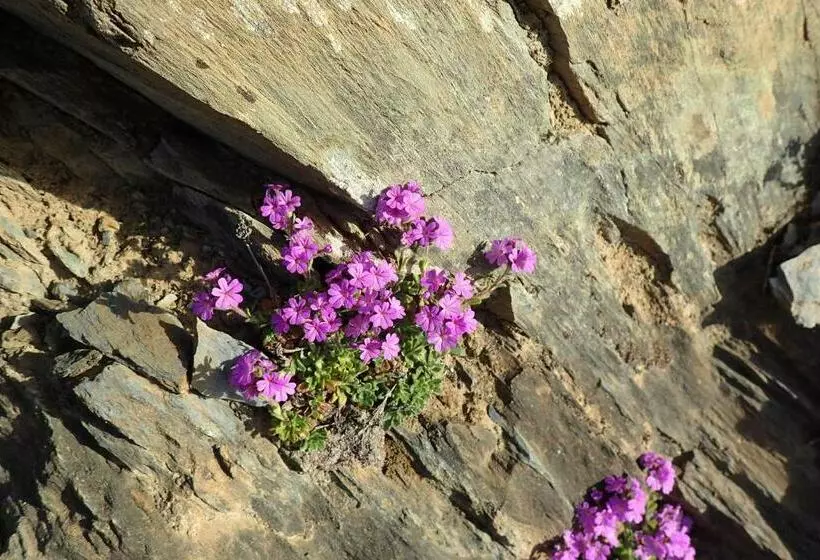 Majatalo Gîte Soum De L Ase