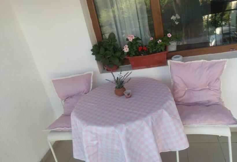 بنسيون Guest House Mikra