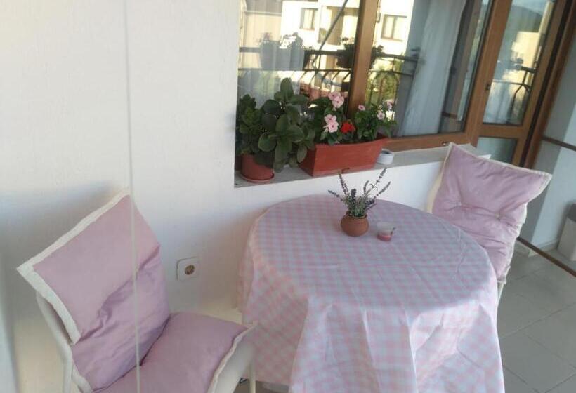 بنسيون Guest House Mikra