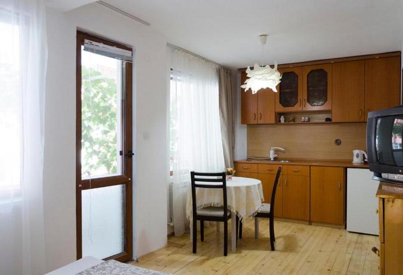 بنسيون Guest House Mikra