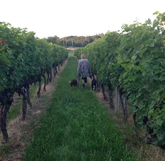 Majatalo Maison Du Guit