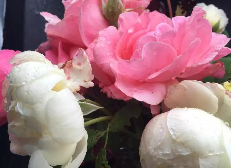 Majatalo Maison Du Guit