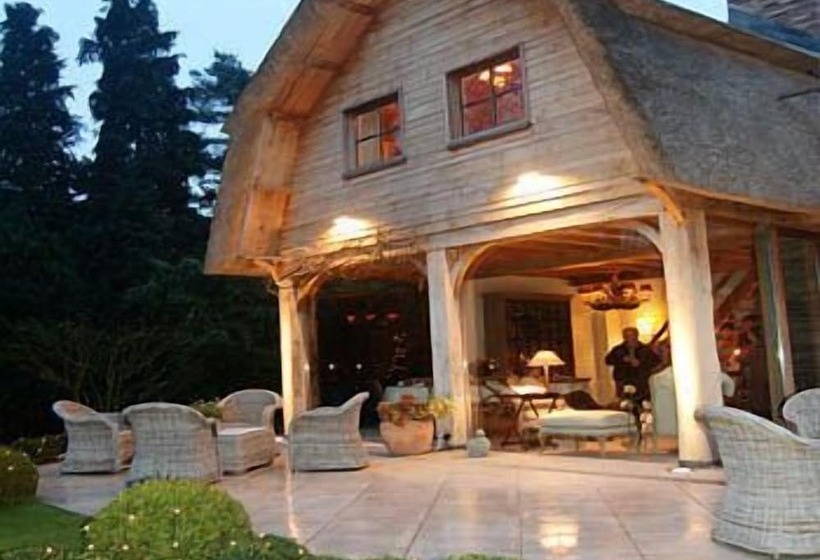 Cosy Cottage