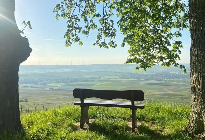 בית מלון כפרי Hofgut Wißberg Das Weinberg