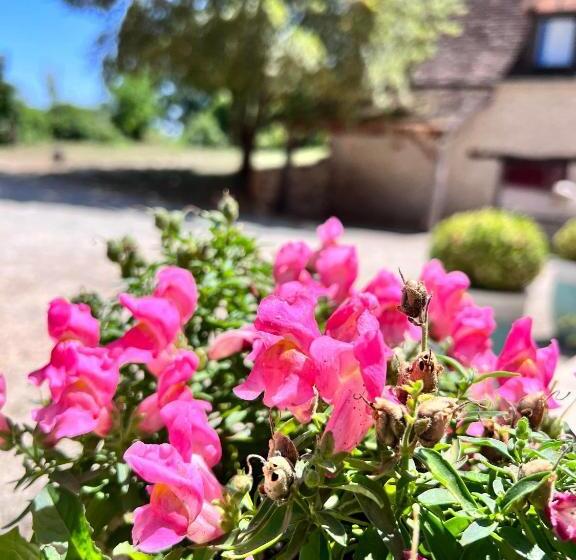 בית מלון כפרי Hôtel Les Vieilles Tours Rocamadour