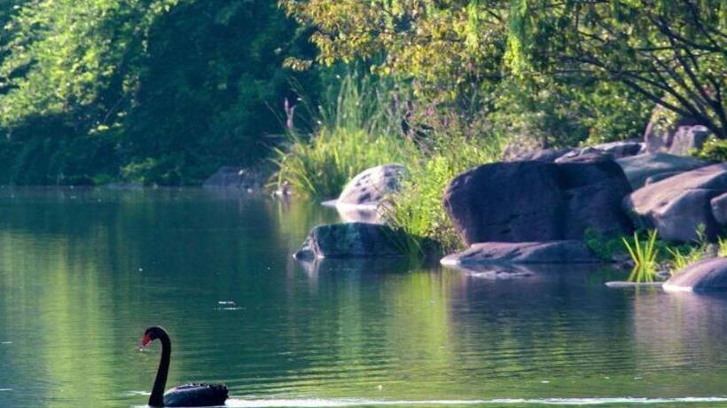 فندق Suzhou Jinji Lake Grand