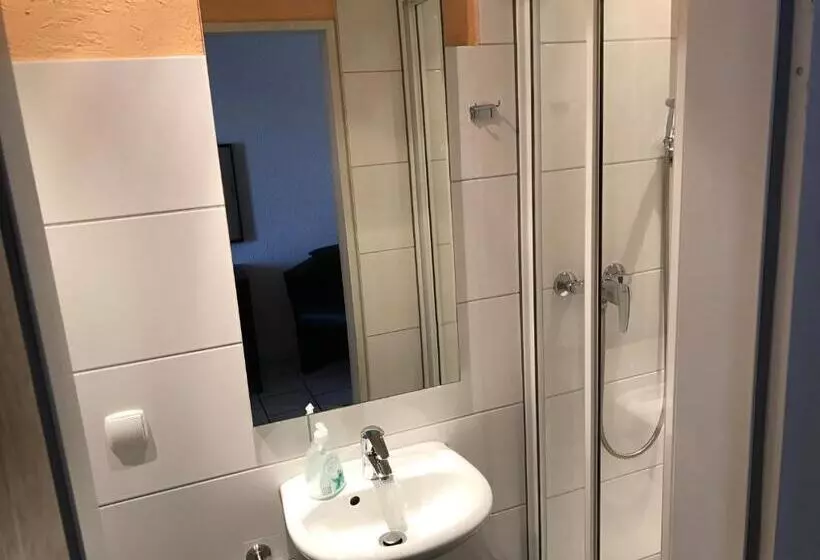 Отель Rhein Inn