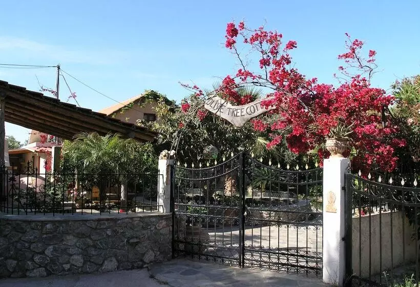 Olive Tree Cottages