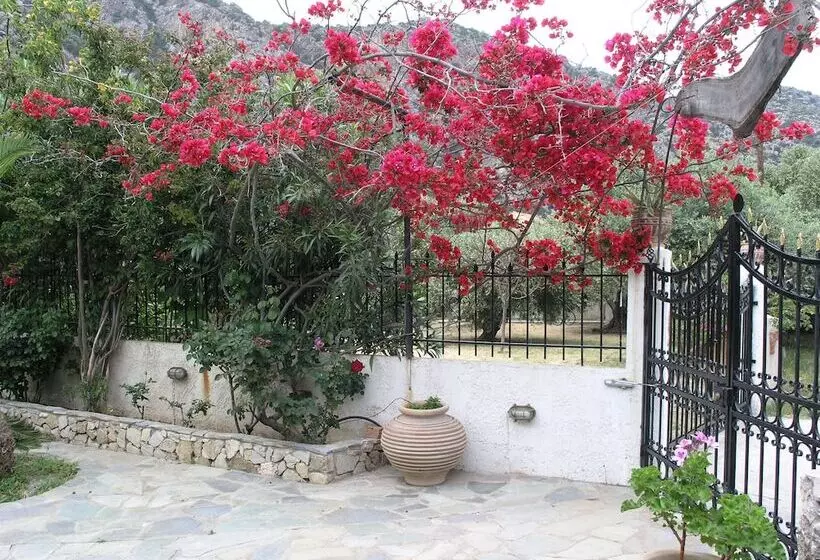 Olive Tree Cottages
