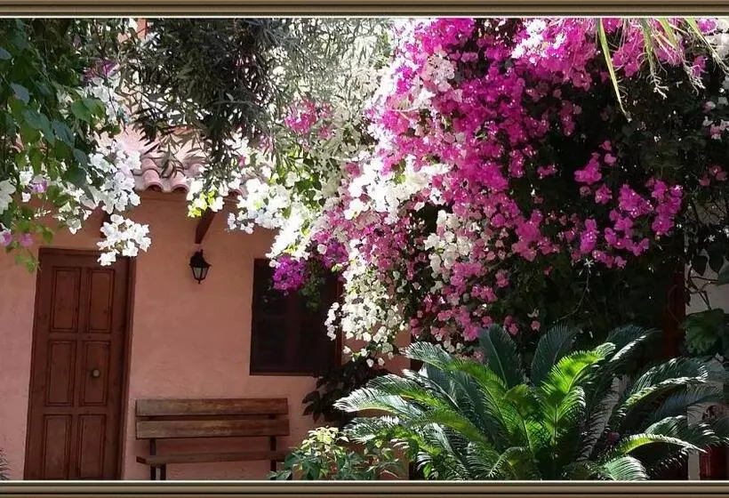 Olive Tree Cottages