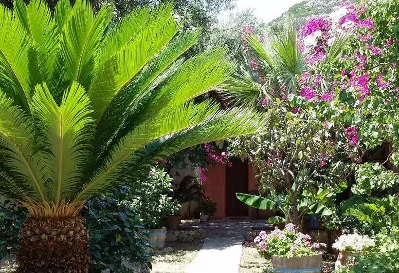 Olive Tree Cottages