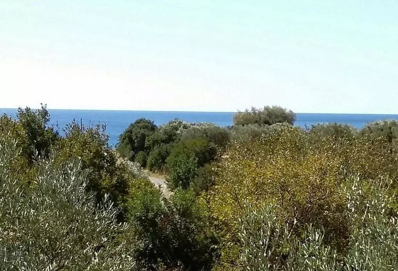 Olive Tree Cottages