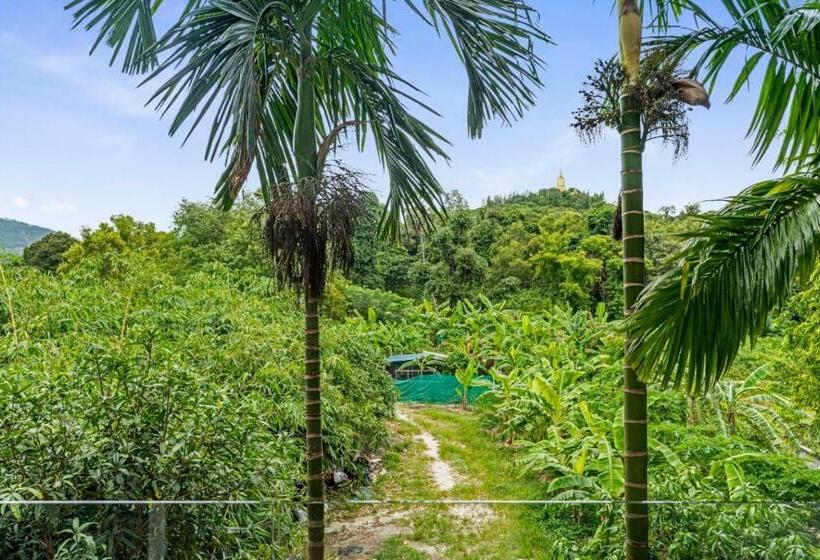 فندق صغير Chaweng Terrace