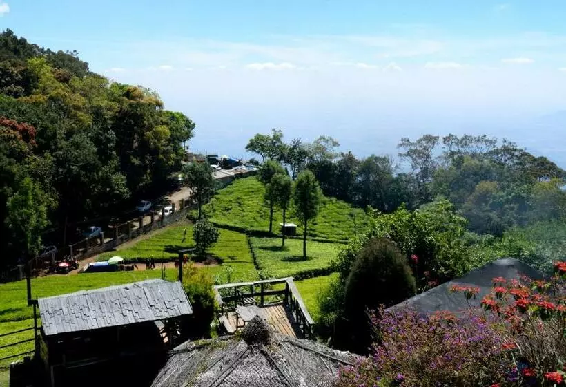 De Rock Jungle Living Resort