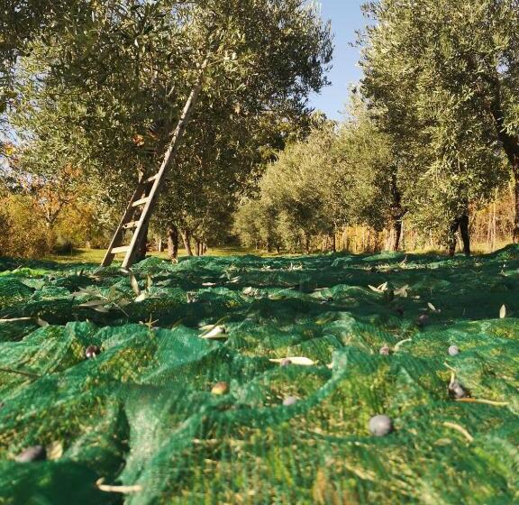 酒店 Agriturismo Roccagelli