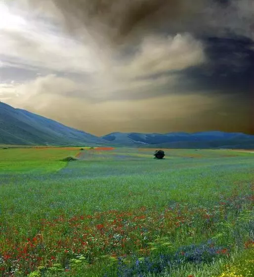 ホテル Agriturismo Roccagelli