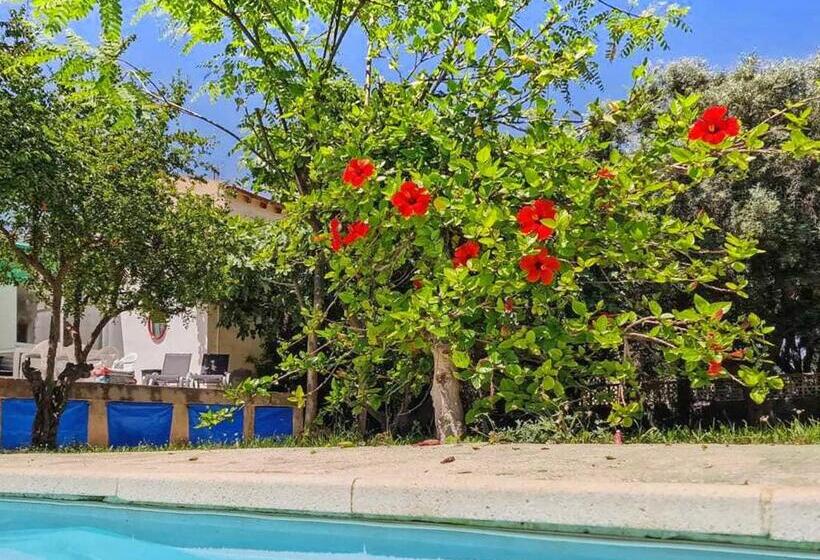 House With Exclusive Pool And Garden 7 Min Walk From The Beach And The Center
