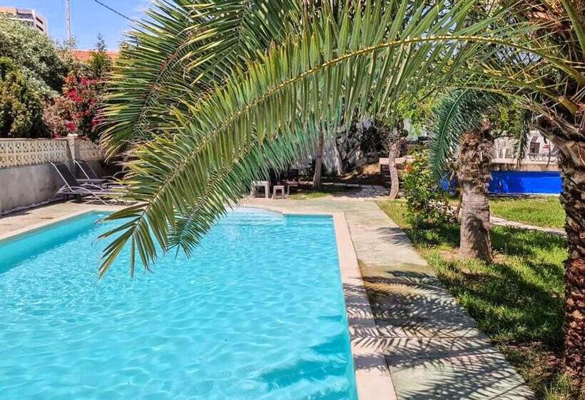 House With Exclusive Pool And Garden 7 Min Walk From The Beach And The Center