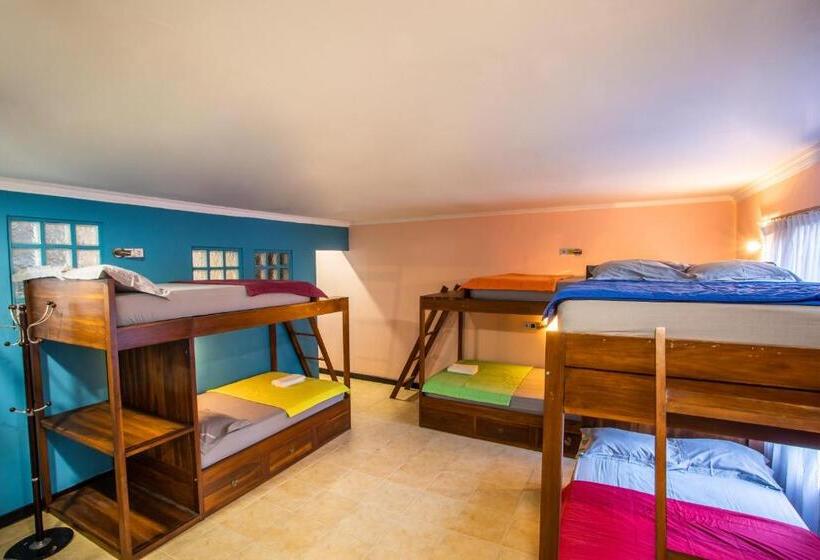 펜션 Laki Uma Villa Male Only