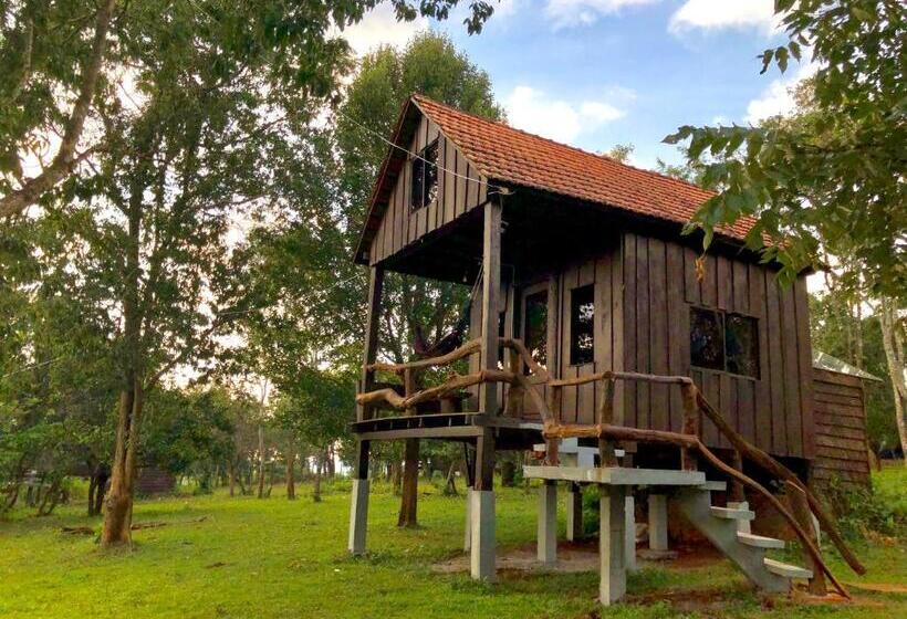 渡假胜地  Nature Lodge