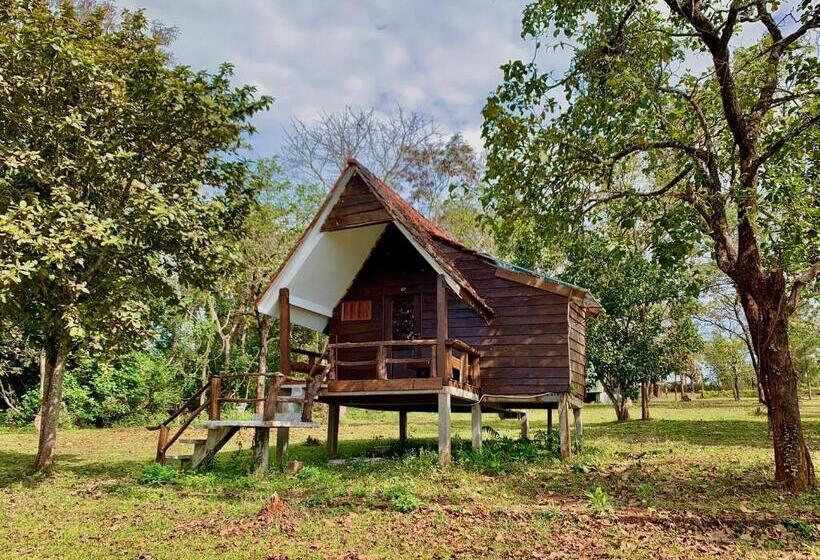 渡假胜地  Nature Lodge