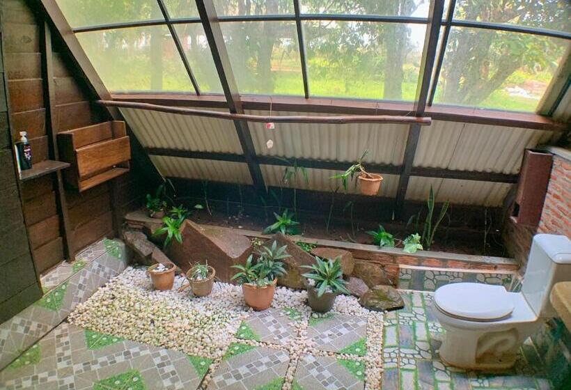 渡假胜地  Nature Lodge