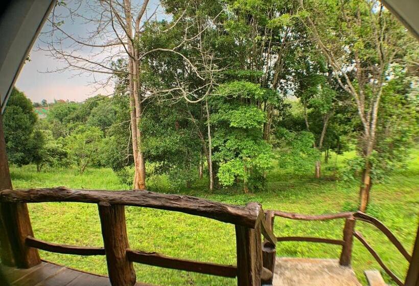 渡假胜地  Nature Lodge