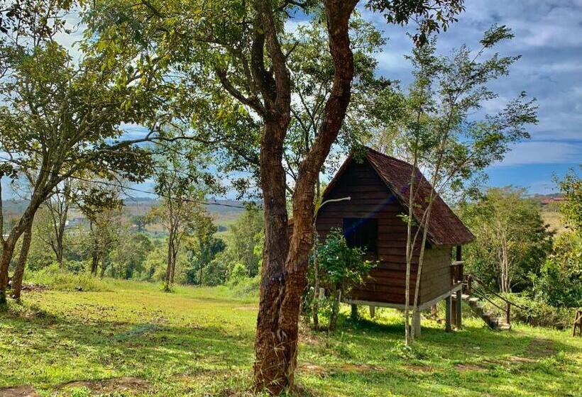 渡假胜地  Nature Lodge