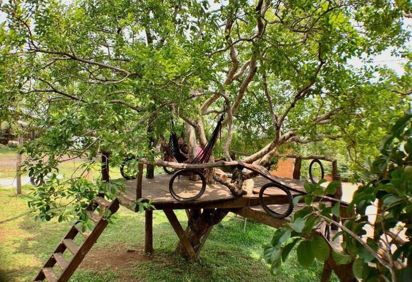 渡假胜地  Nature Lodge