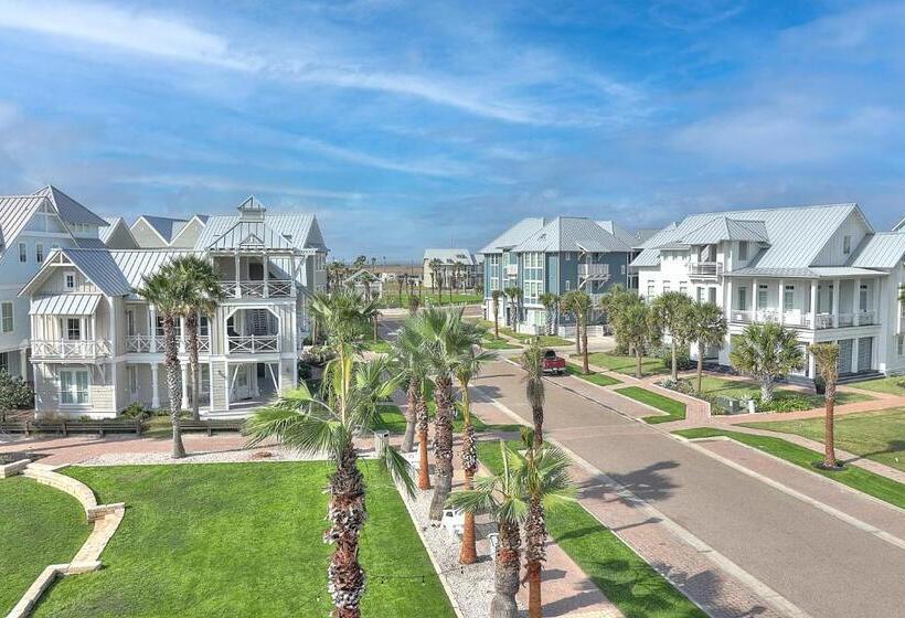 The Reel Deal 222 Gr