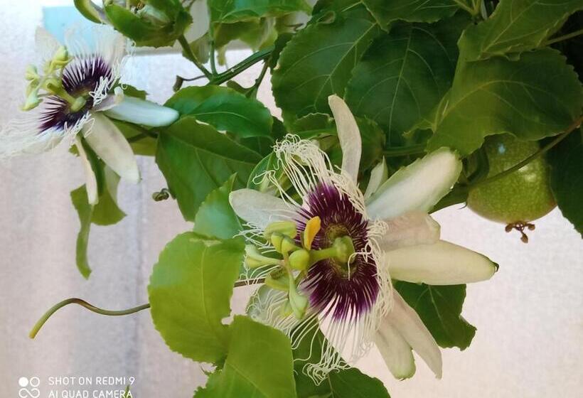 B&b Selinunte Artemisia