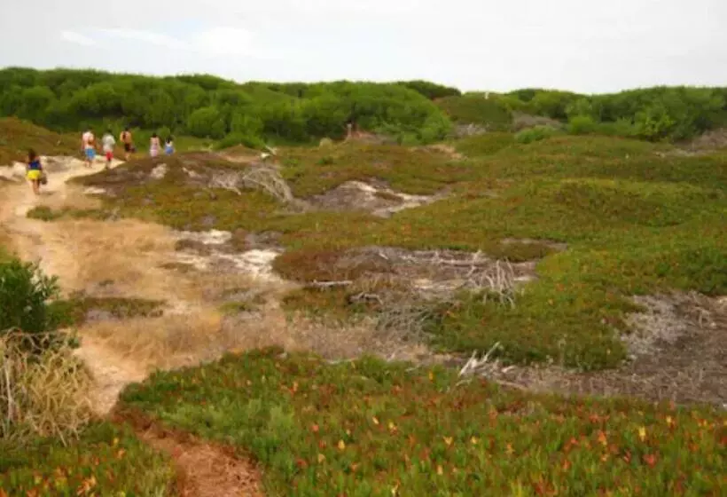 O Cantinho Entre A Ria E O Mar   With Hot Water Pool All Year Round