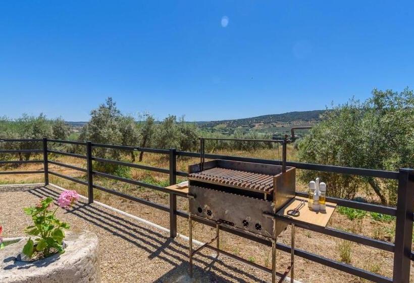 Casa La Limosna Setenil De Las Bodegas By Ruralidays