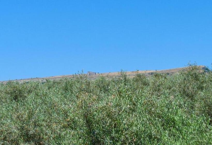 Casa La Limosna Setenil De Las Bodegas By Ruralidays