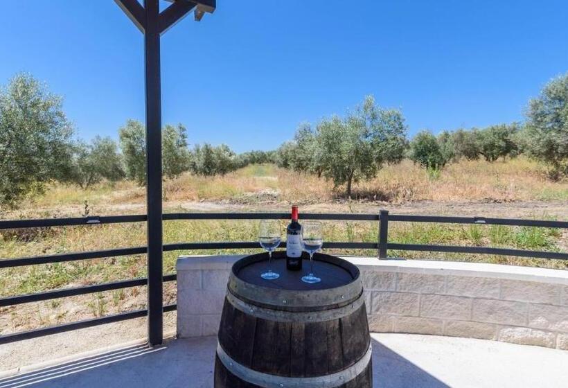Casa La Limosna Setenil De Las Bodegas By Ruralidays