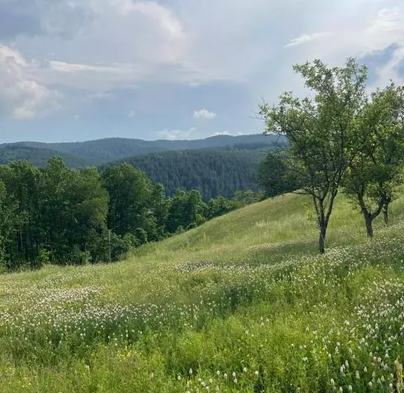 Dedina Kuća