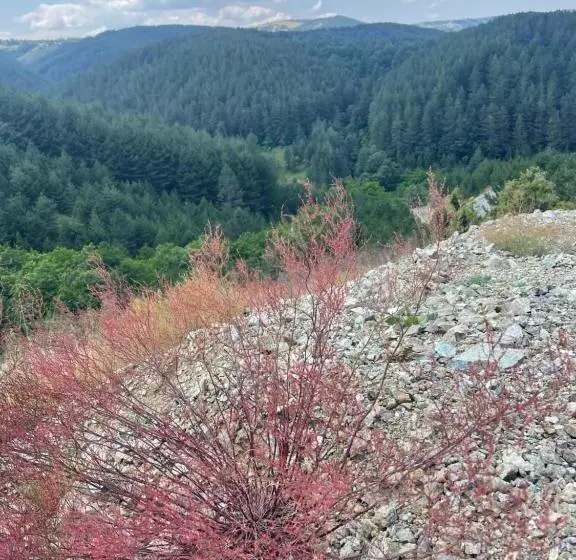Dedina Kuća