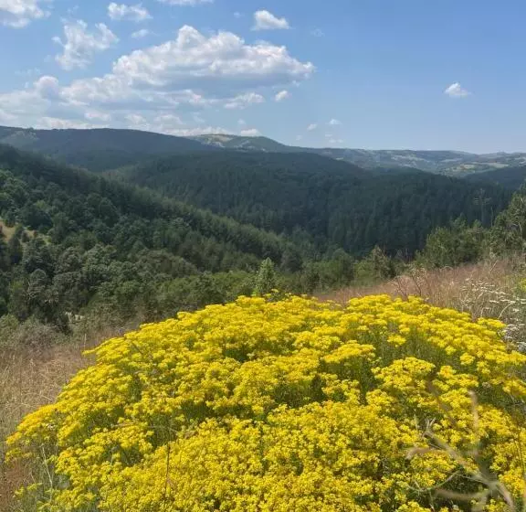 Dedina Kuća
