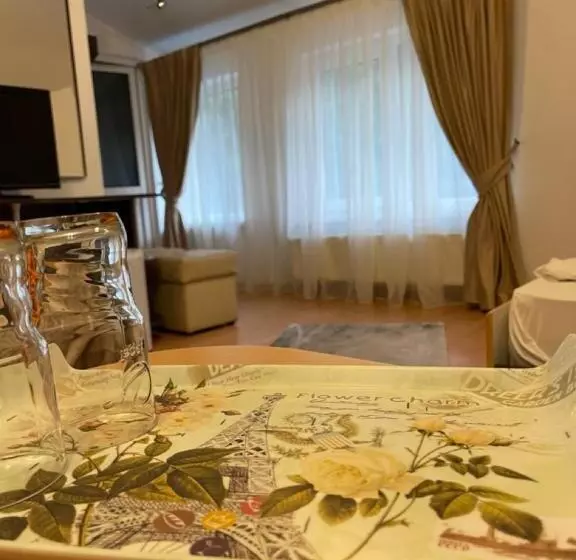 Pensiunea Izvoare Olanesti 3