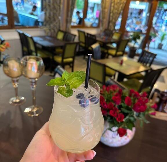 Pensiunea Izvoare Olanesti 3