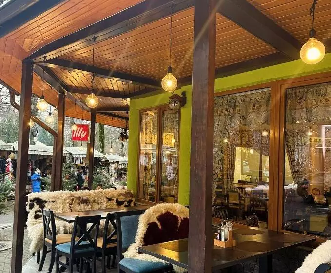 Pensiunea Izvoare Olanesti 3