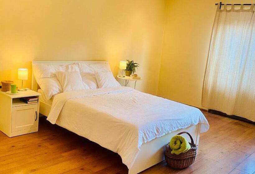 Sunny Attic Apartment