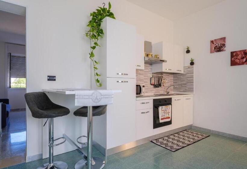 The Queen In Love Ro