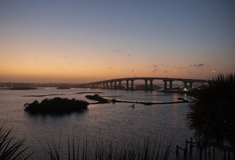 Intercoastal Dreams 101