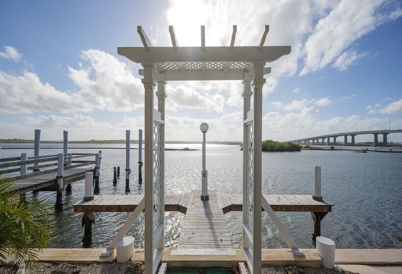 Intercoastal Dreams 101