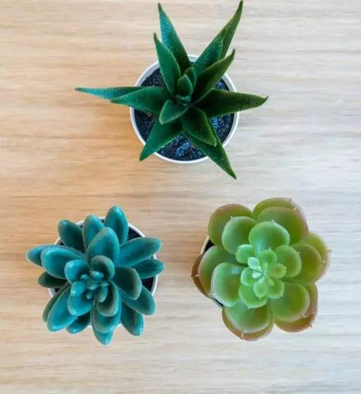 Lovely Bail   Studio Au Calme   Wifi