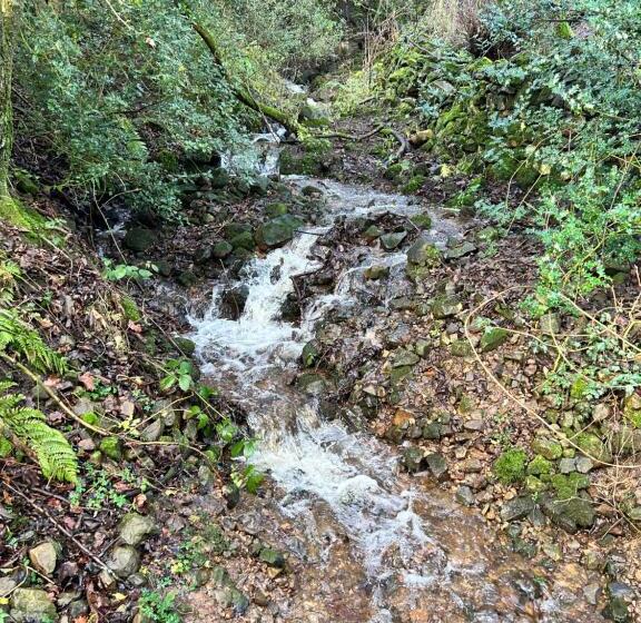 Peep O Day Stylish 4bedroom Cottage With Dale View