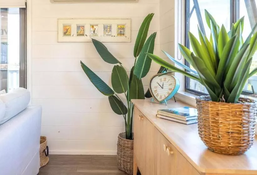 Skomer House Stay Waiheke