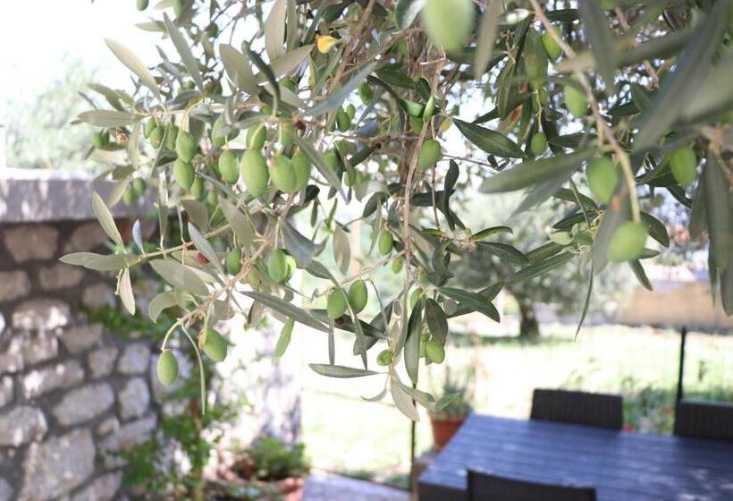 Casa Degli Ulivi Con Parcheggio Privato